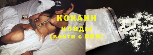 бошки Белокуриха