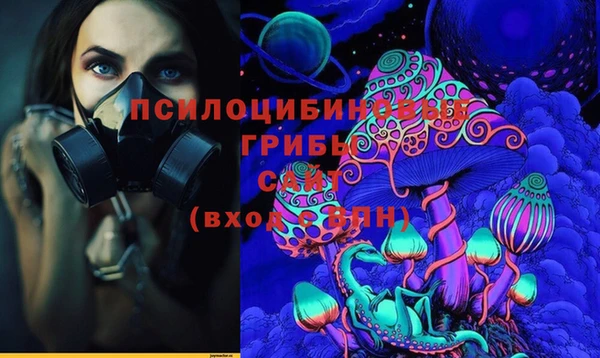 ПСИЛОЦИБИНОВЫЕ ГРИБЫ Белоозёрский