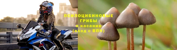 бошки Белокуриха
