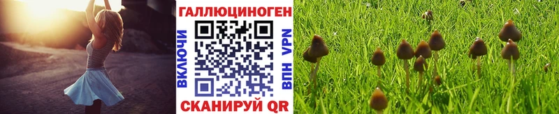Псилоцибиновые грибы мицелий  Кораблино 